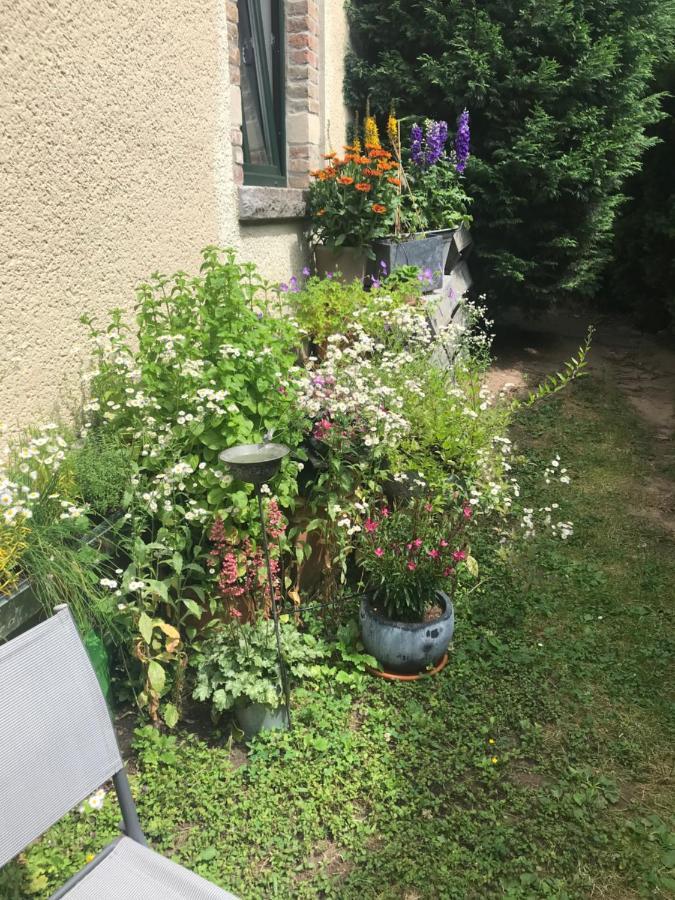 Boutique Apartments Benz I-Iii Bergisch Gladbach Eksteriør billede