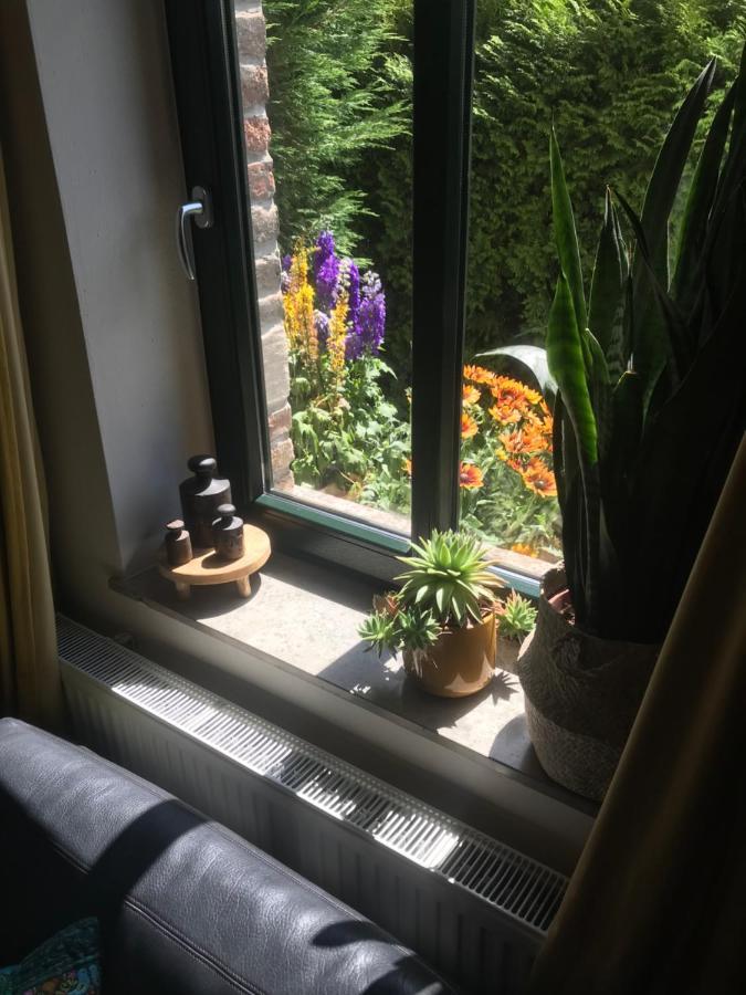 Boutique Apartments Benz I-Iii Bergisch Gladbach Eksteriør billede