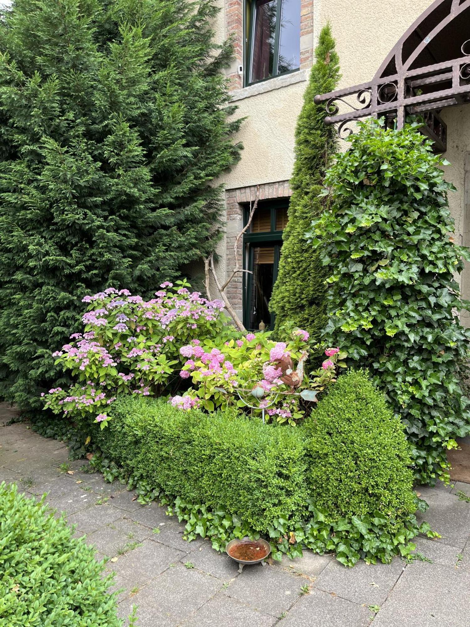 Boutique Apartments Benz I-Iii Bergisch Gladbach Eksteriør billede