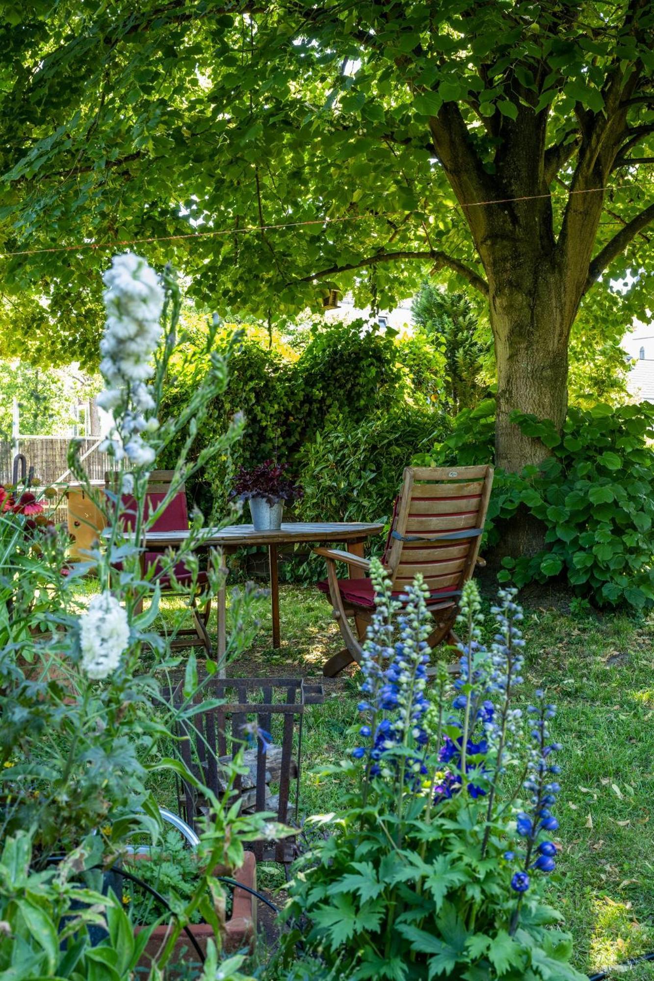 Boutique Apartments Benz I-Iii Bergisch Gladbach Eksteriør billede